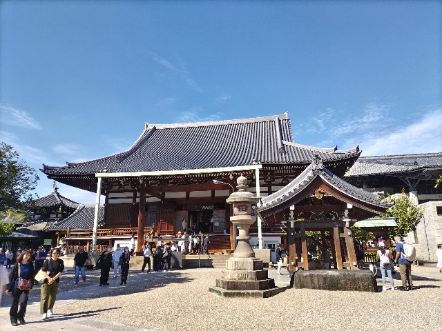f:id:gasunukix:20261013144005j:image f:id:gasunukix:20261013144005j:image