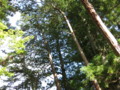 20090712155349