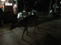 20090812215059