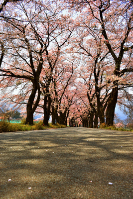 f:id:gasyodo:20200417005853j:plain