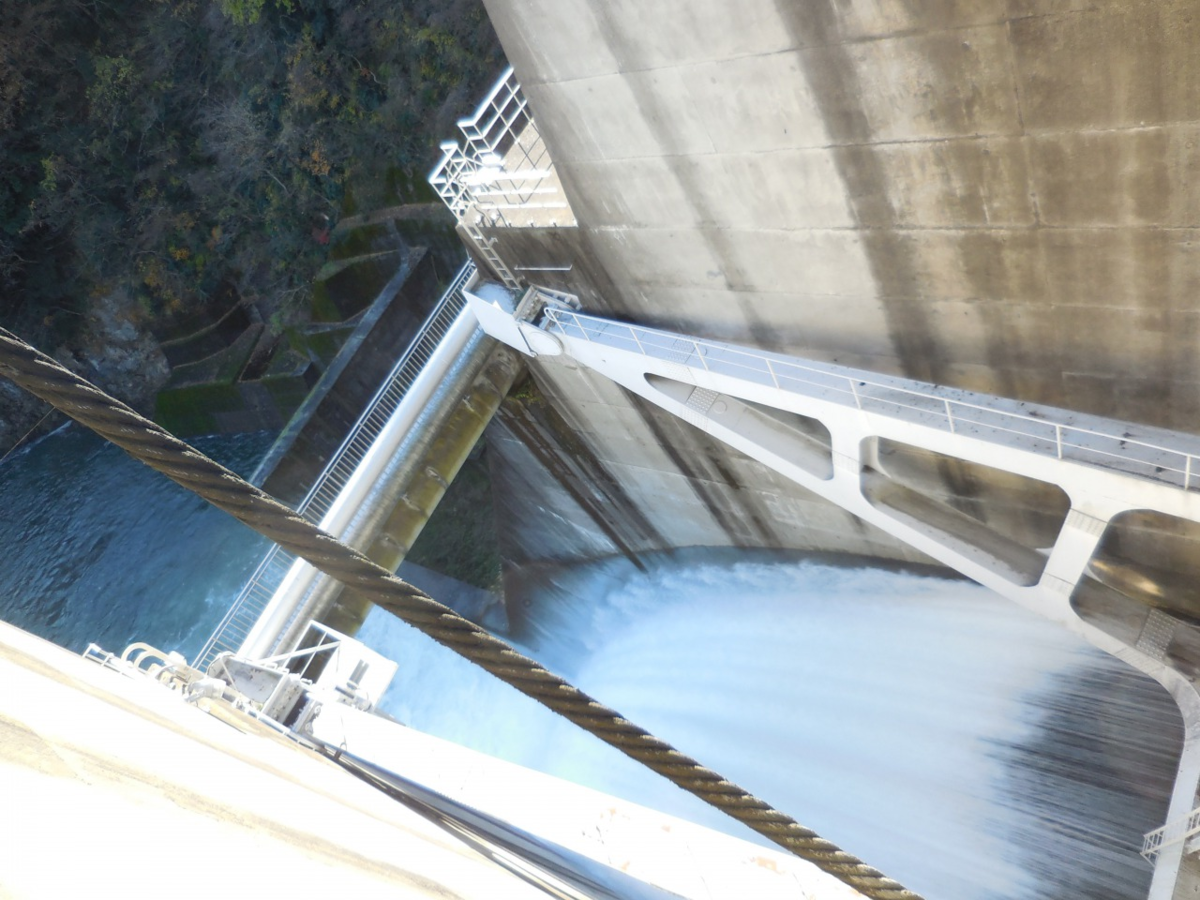 f:id:gatchamangood:20200415214413p:plain
