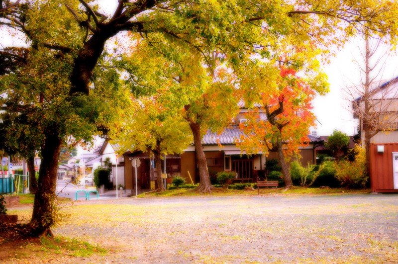 f:id:gatela:20111129105810j:image
