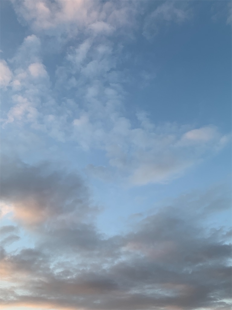 f:id:gatemusubento:20220228063058j:image f:id:gatemusubento:20220228063058j:image