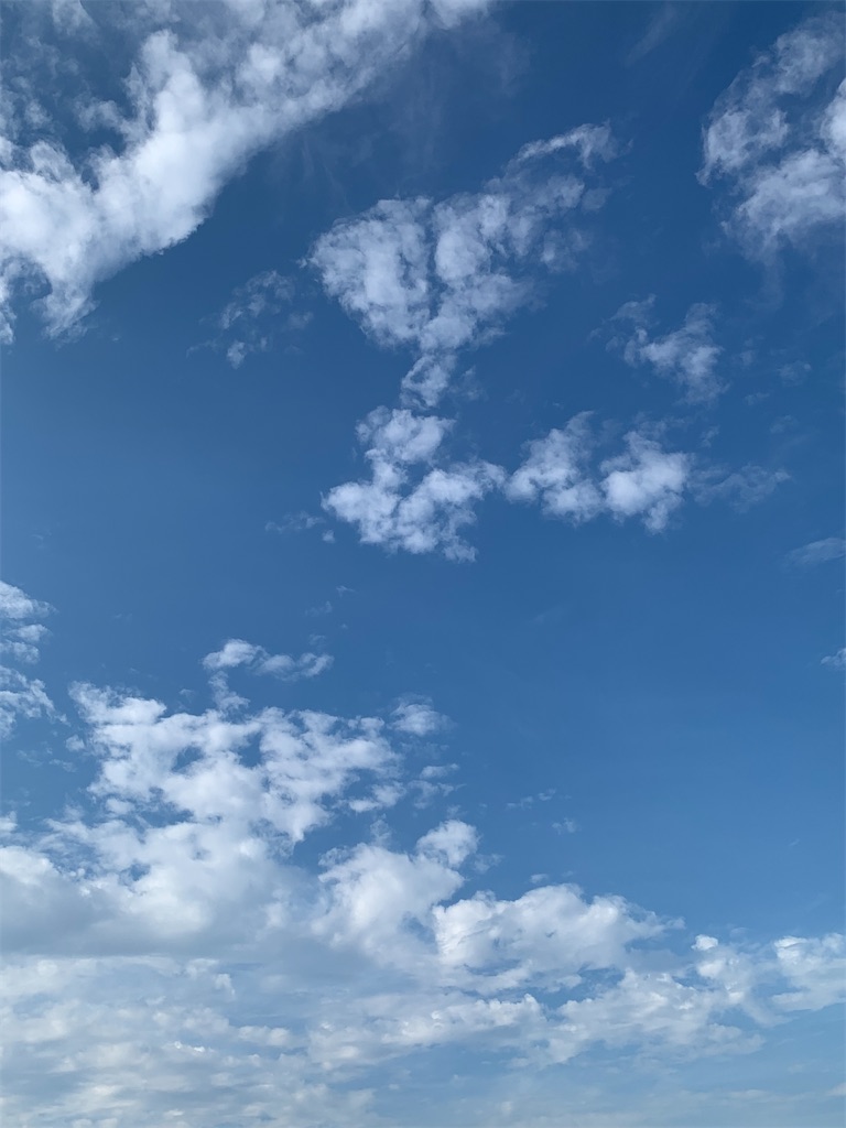 f:id:gatemusubento:20220802074632j:image f:id:gatemusubento:20220802074632j:image