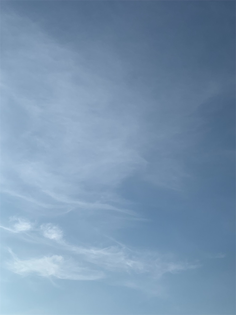 f:id:gatemusubento:20220803075625j:image f:id:gatemusubento:20220803075625j:image