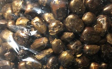 f:id:gathering_at_seoul:20200325232538j:plain