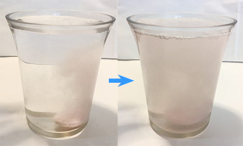 発砲ビタミン「Ever Vita  Zn.C.D」ザクロ味