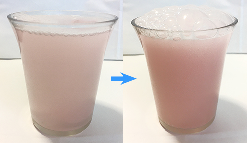 発砲ビタミン「Ever Vita  Zn.C.D」ザクロ味