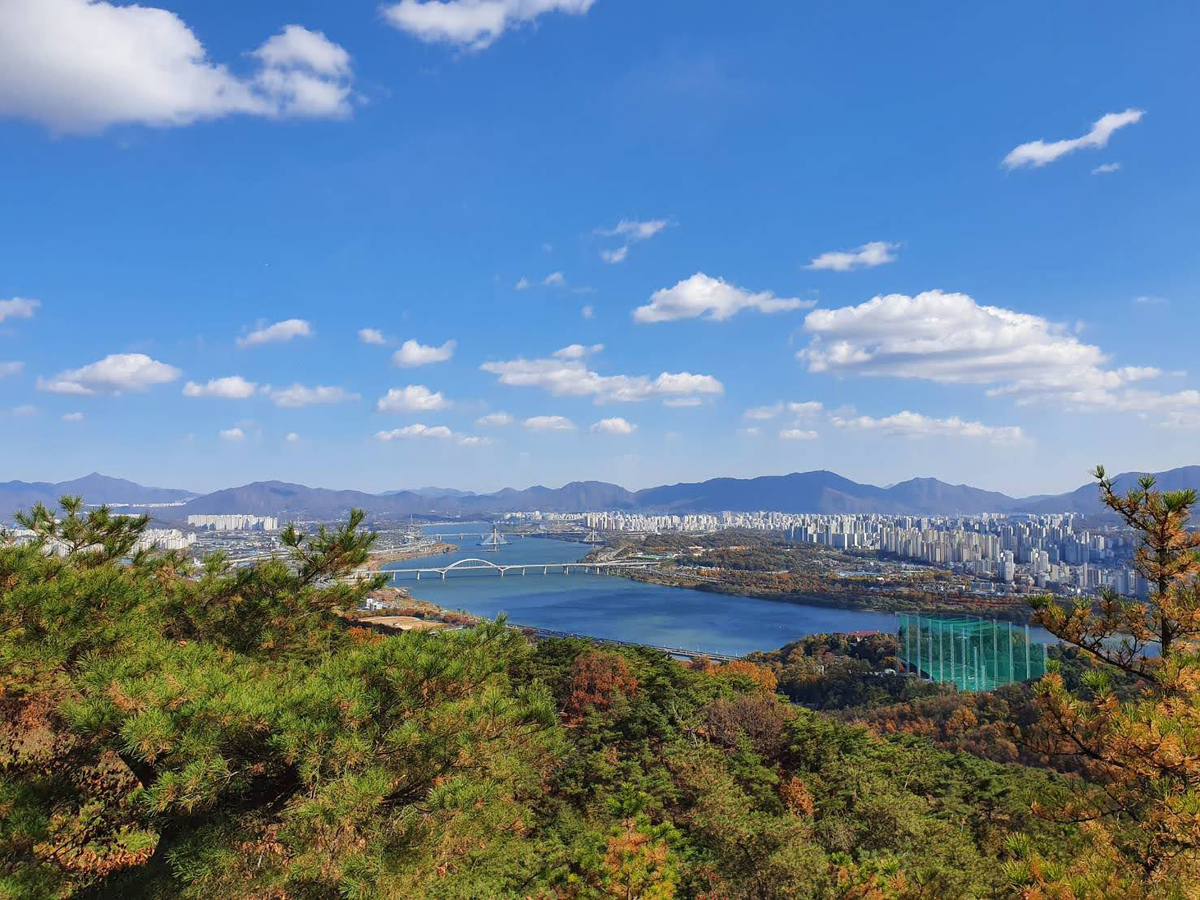 f:id:gathering_at_seoul:20201113214552j:plain