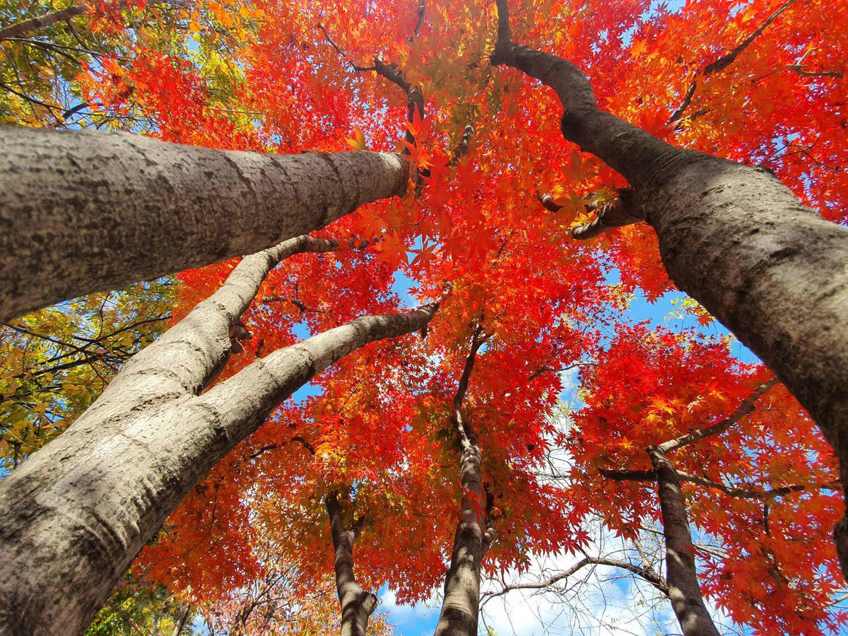 f:id:gathering_at_seoul:20201113214746j:plain