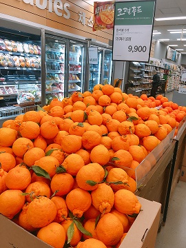 f:id:gathering_at_seoul:20201220224040j:plain