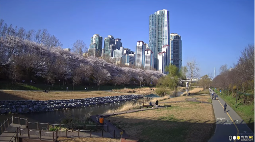 ソウルライブカメラ　良才川
