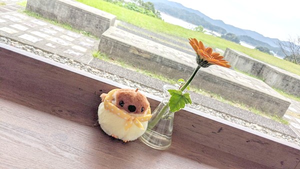 f:id:gatito-gato:20201019005901j:plain
