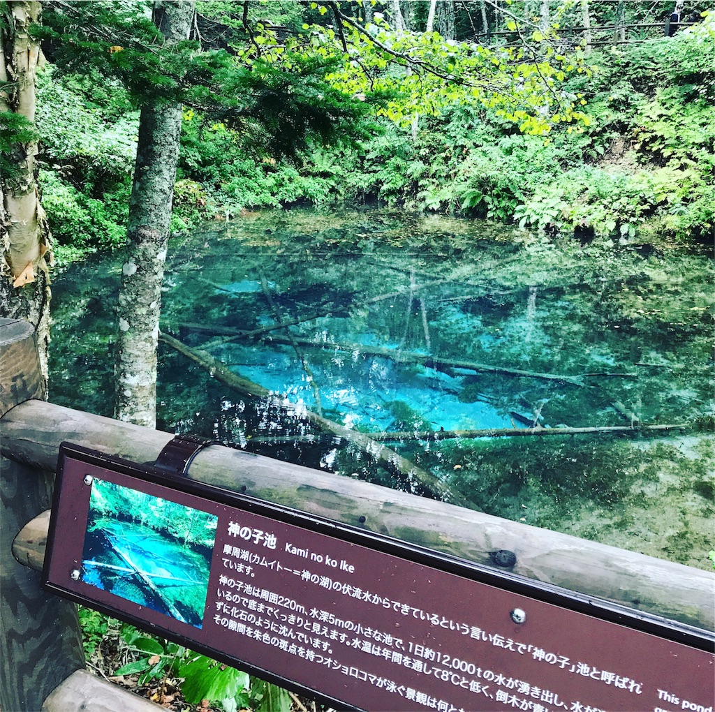 道東 摩周湖近くの青い池 神の子池 が想像よりずっと青く澄んでいた話 ガトモシのブログ 道東 摩周湖近くの青い池 神の子池 が想像よりずっと青く澄んでいた話 ガトモシのブログ