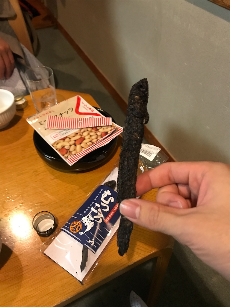 佐賀 有明海のムツゴロウと海中鳥居など ガトモシのブログ