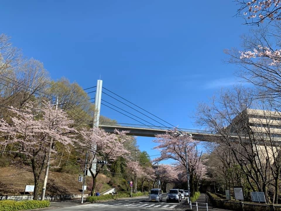 f:id:gatonews:20190411154650j:plain