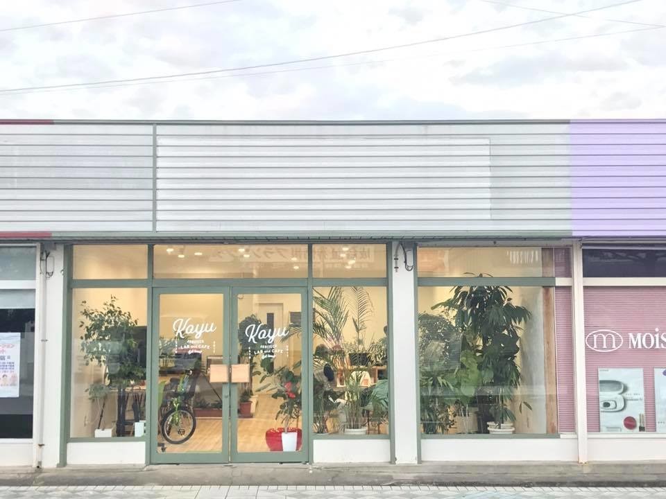 f:id:gatonews:20200924104734j:plain f:id:gatonews:20200924104734j:plain