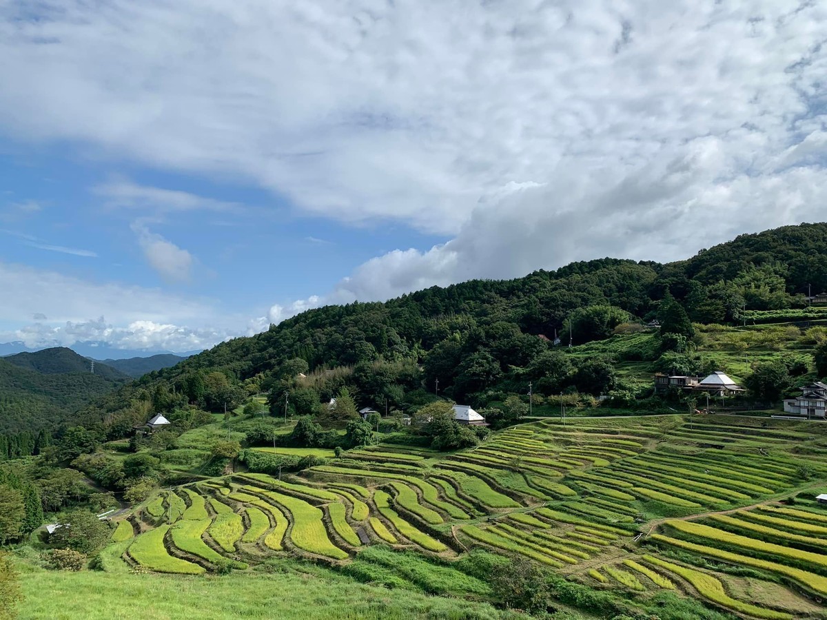 f:id:gatonews:20220312164024j:plain