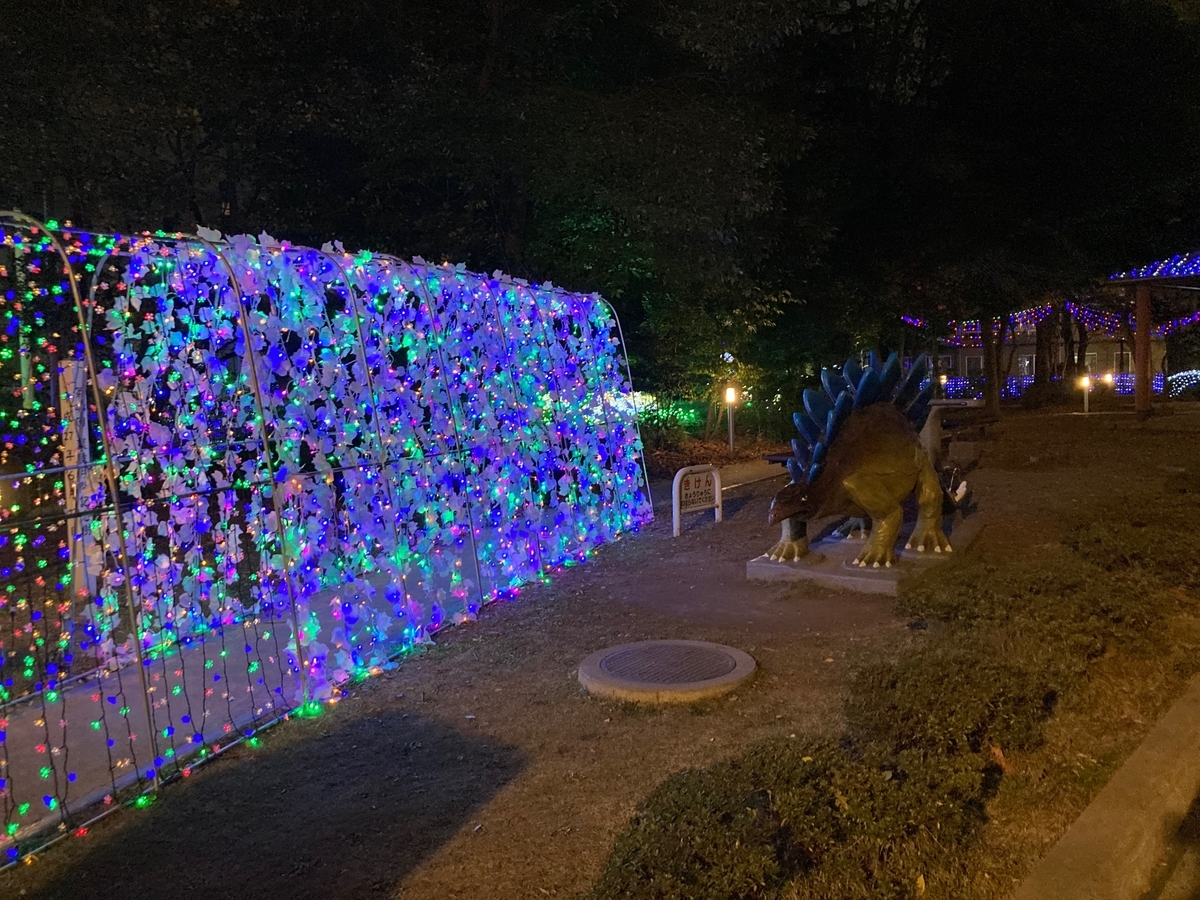 戸田市こどもの国(公園)のイルミネーションのトンネル