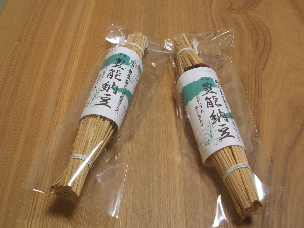 f:id:gatthi:20210116200632j:plain