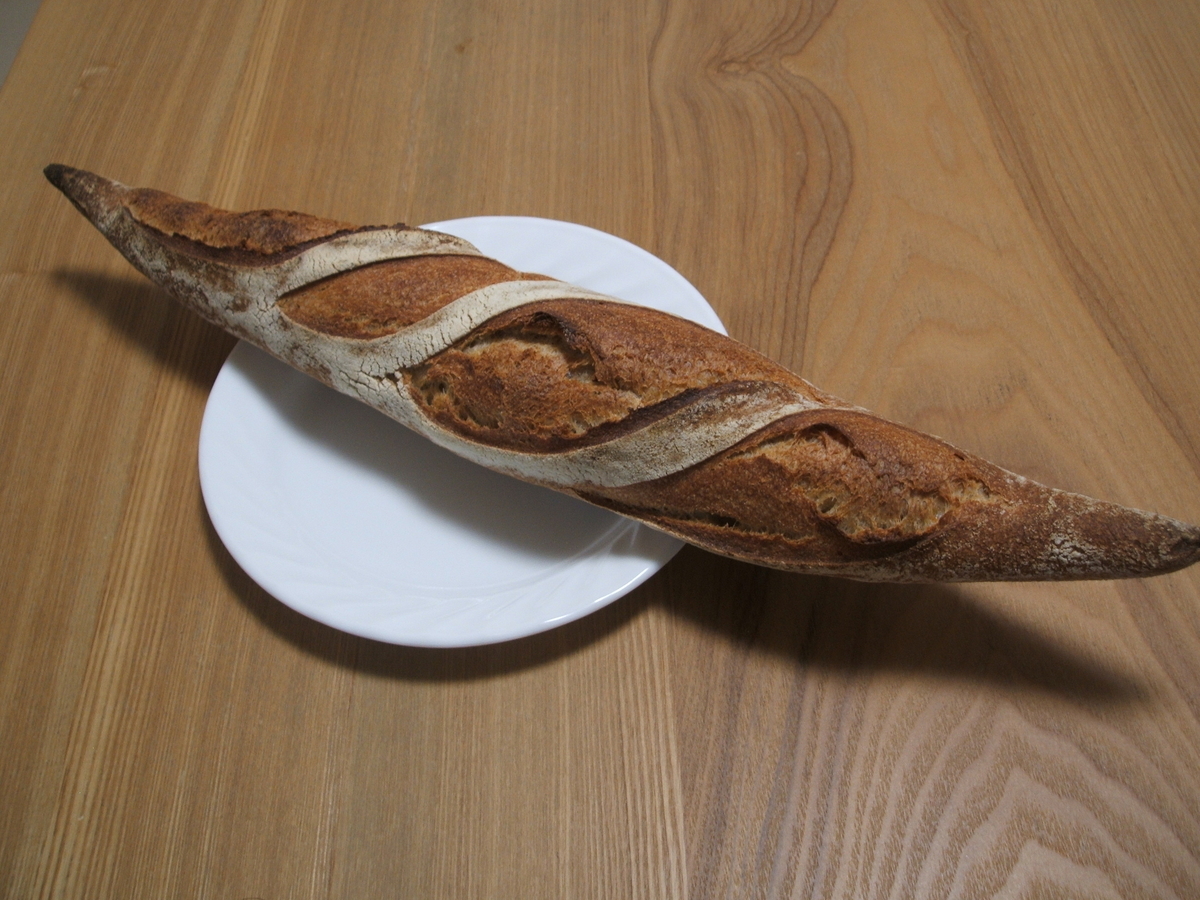 f:id:gatthi:20210131155850j:plain