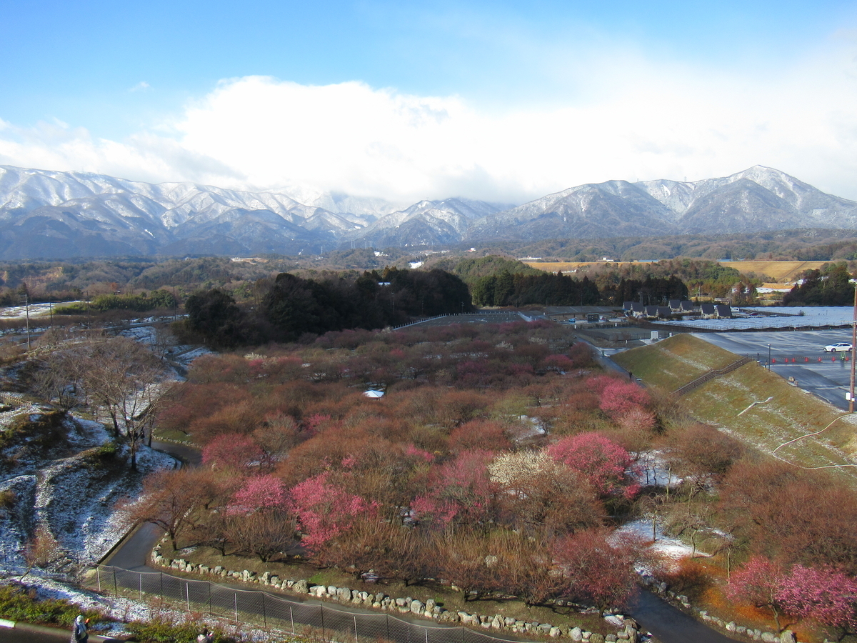 f:id:gatthi:20220327100841j:plain