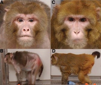 f:id:gattolibero:20181005161436j:plain