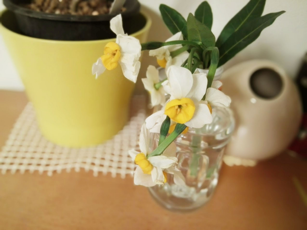 f:id:gauchere:20170131131927j:plain f:id:gauchere:20170131131927j:plain