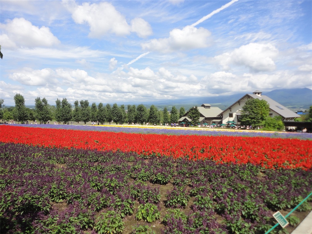 f:id:gawa67tabimaru:20210604153459j:image f:id:gawa67tabimaru:20210604153459j:image