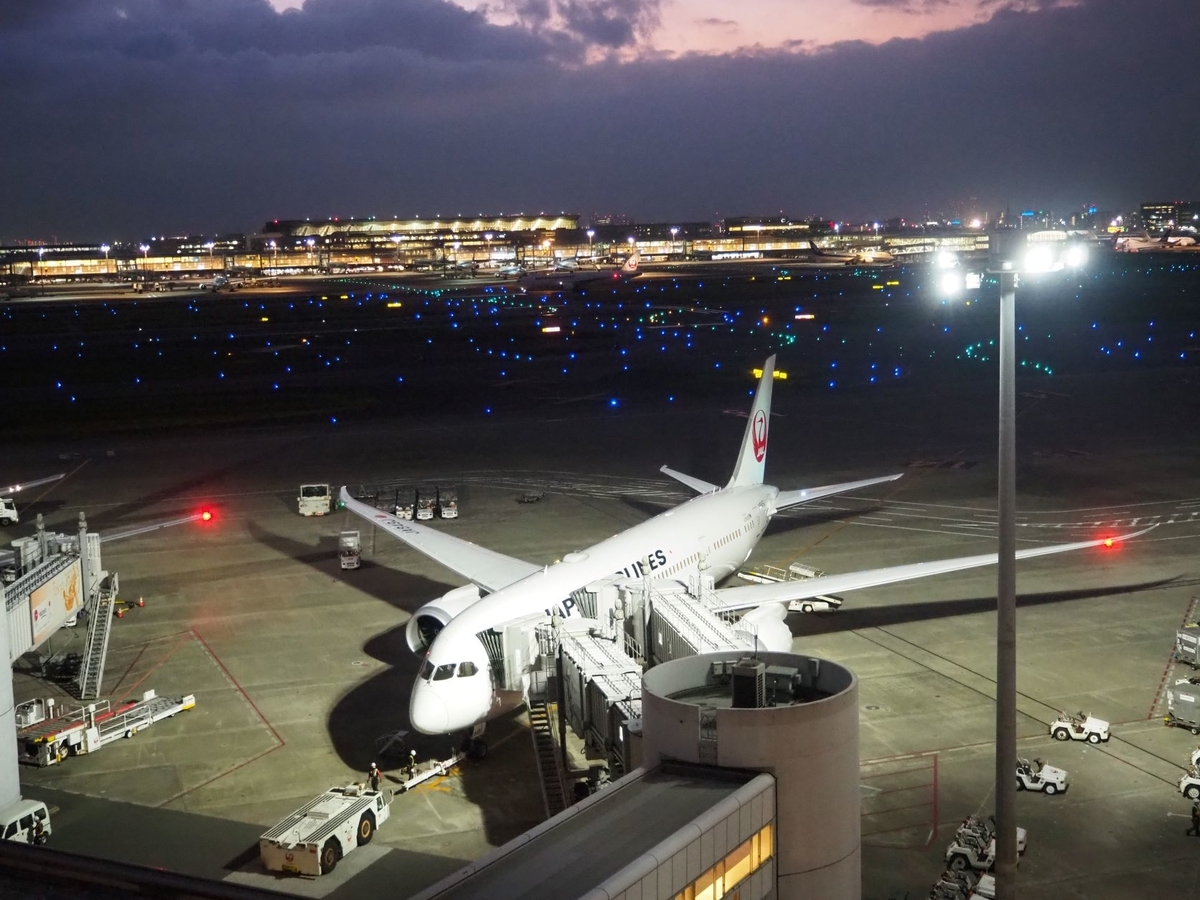 搭乗記】JAL羽田新千歳 国際線機材トリプルで夜の北海道へ - がーわの