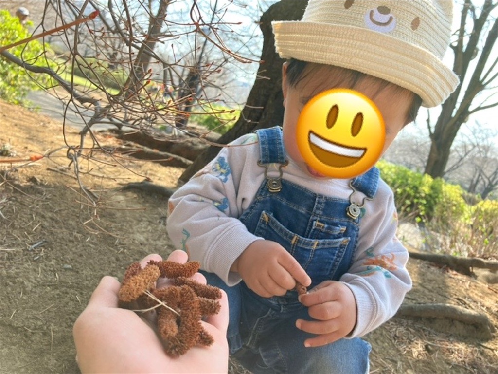 f:id:gazinko:20230402135845j:image