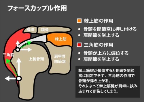 f:id:gazo-u:20190222103006j:plain