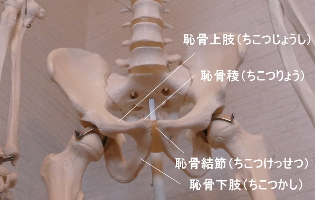 f:id:gazo-u:20190322030811j:plain