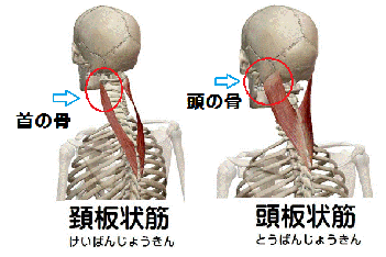 f:id:gazo-u:20190322030928p:plain
