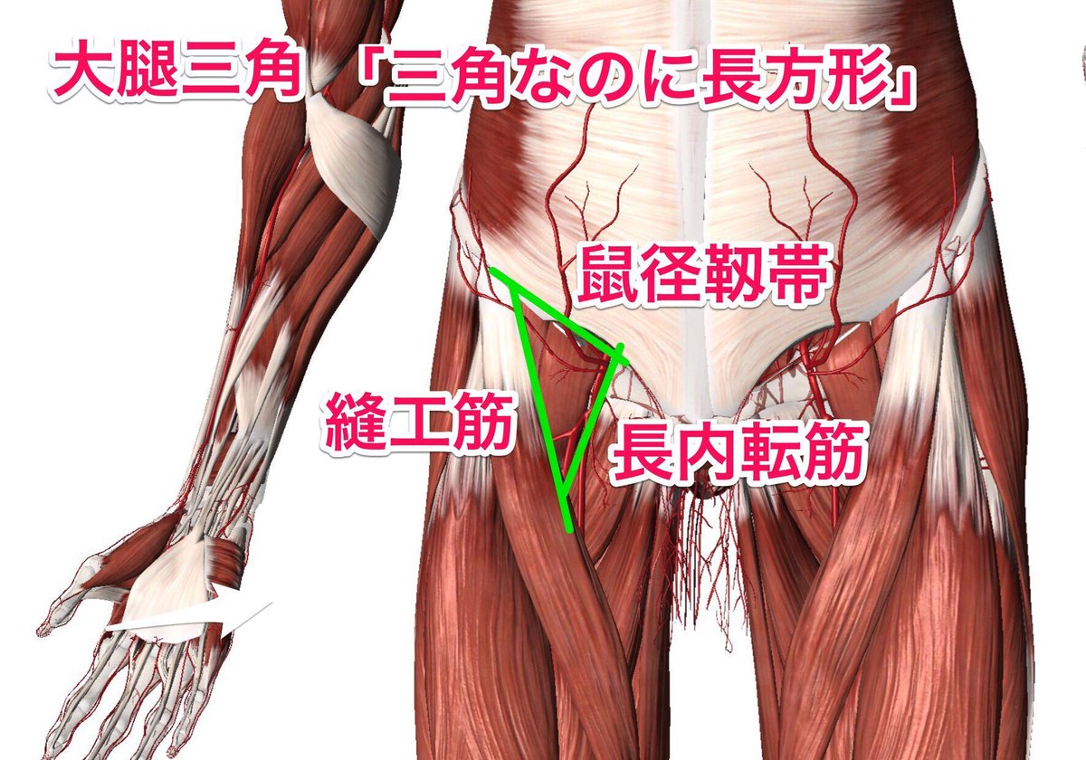 f:id:gazo-u:20190513033417j:plain