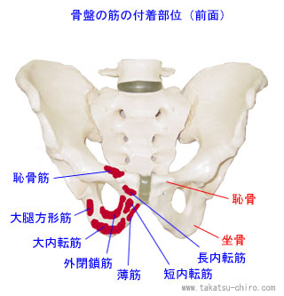f:id:gazo-u:20190513090618j:plain