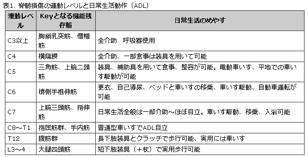 f:id:gazo-u:20190518185558p:plain