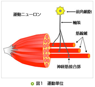f:id:gazo-u:20190720011734p:plain