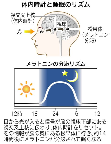 f:id:gazo-u:20191015161116j:plain