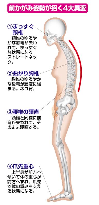 f:id:gazo-u:20191105050315j:plain
