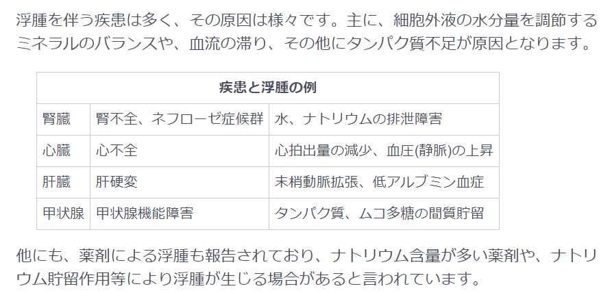 f:id:gazo-u:20191214170740p:plain