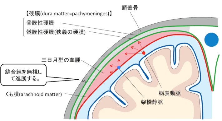 f:id:gazo-u:20191231000715p:plain