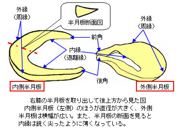 f:id:gazo-u:20200118161428j:plain
