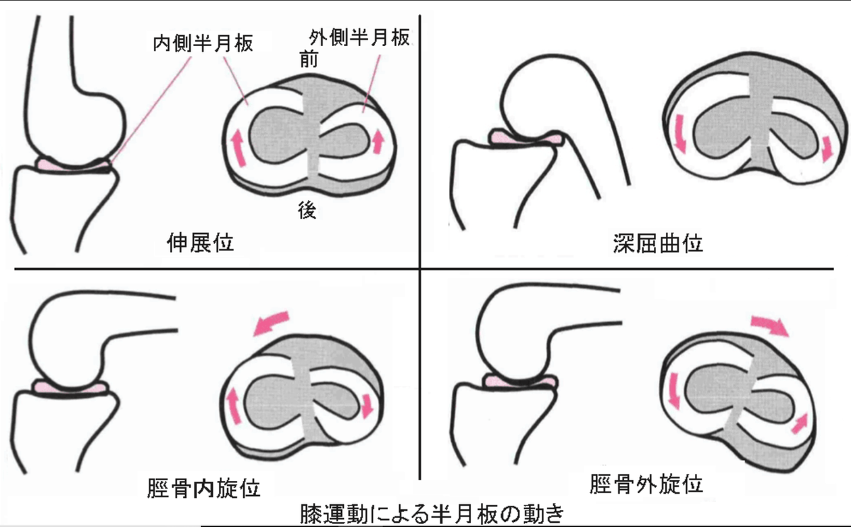 f:id:gazo-u2:20200428043900p:plain