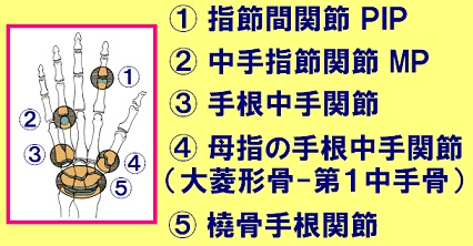 f:id:gazo-u2:20200503112448j:plain