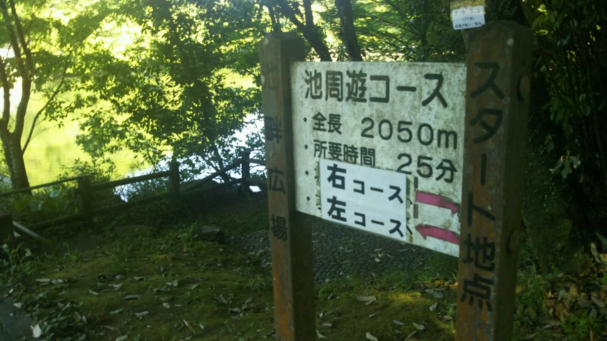 f:id:gblog60:20210423144419j:plain