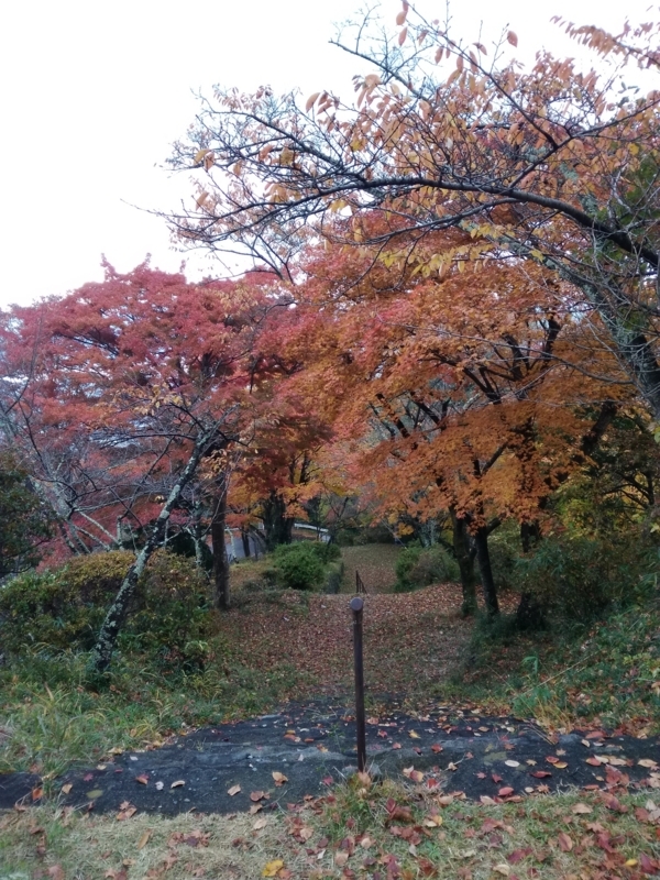 f:id:gbmn:20171123234145j:plain