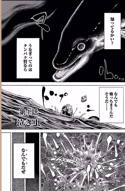 うなぎ鬼 落合 裕介 を読んでみた ねこのブログ