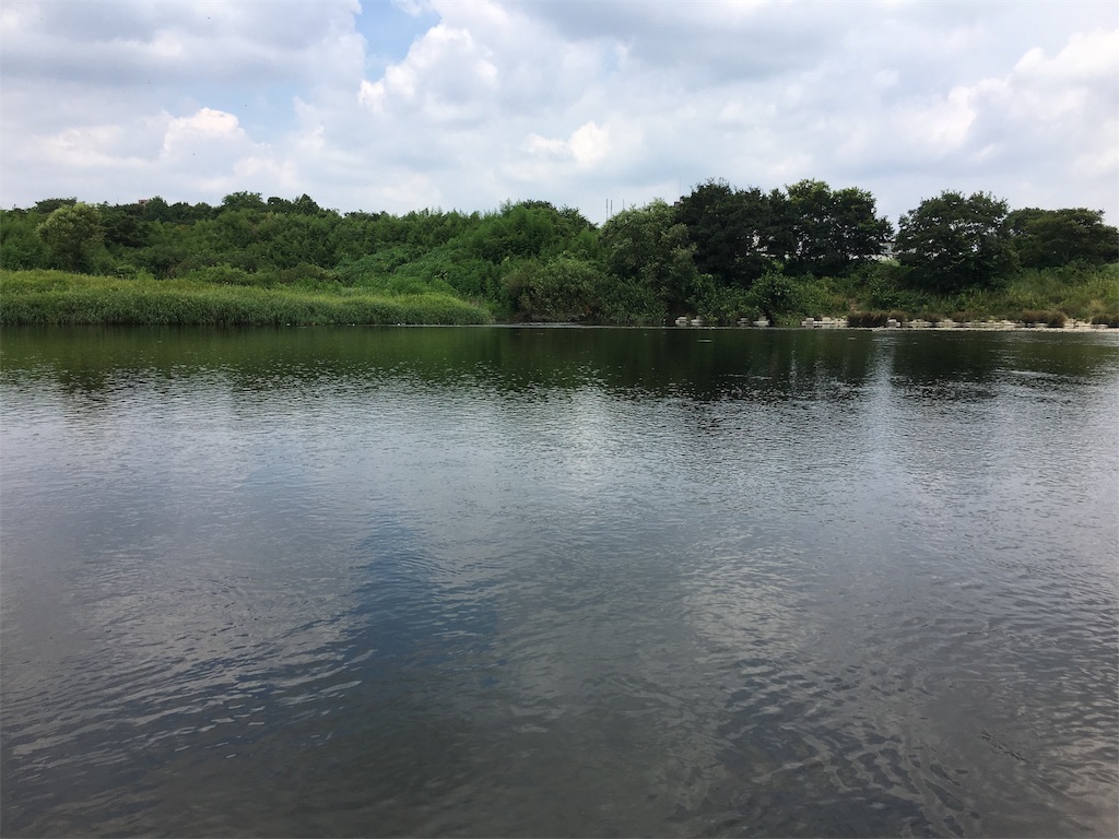 f:id:gbtvmovie:20190816083210j:image