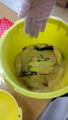 f:id:gc-funabashi-miyama:20180227132810j:image:medium f:id:gc-funabashi-miyama:20180227132810j:image:medium